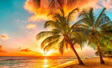 旅游綠皮書(shū) 2019~2020年中國(guó)國(guó)內(nèi)旅游業(yè)務(wù)發(fā)展分析與預(yù)測(cè)