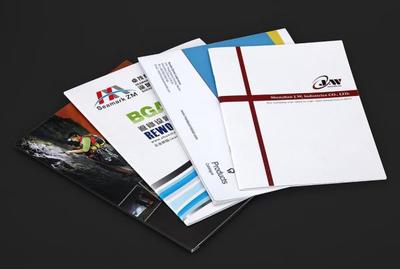 西寧網(wǎng)頁與網(wǎng)站設(shè)計 數(shù)字化時代的發(fā)展機遇與實踐探索